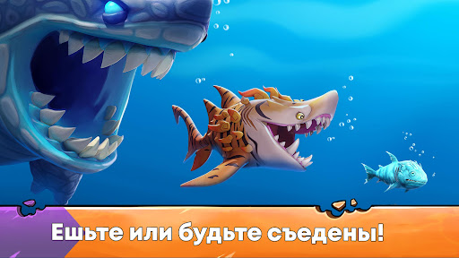 Hungry Shark Evolution: акула